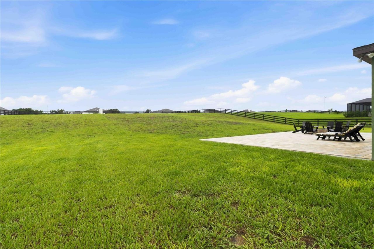 10007 Dolphin Gull Circle, Thonotosassa, FL 33592 Photo