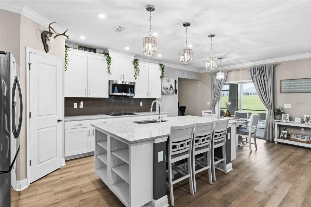 10007 Dolphin Gull Circle, Thonotosassa, FL 33592 Photo