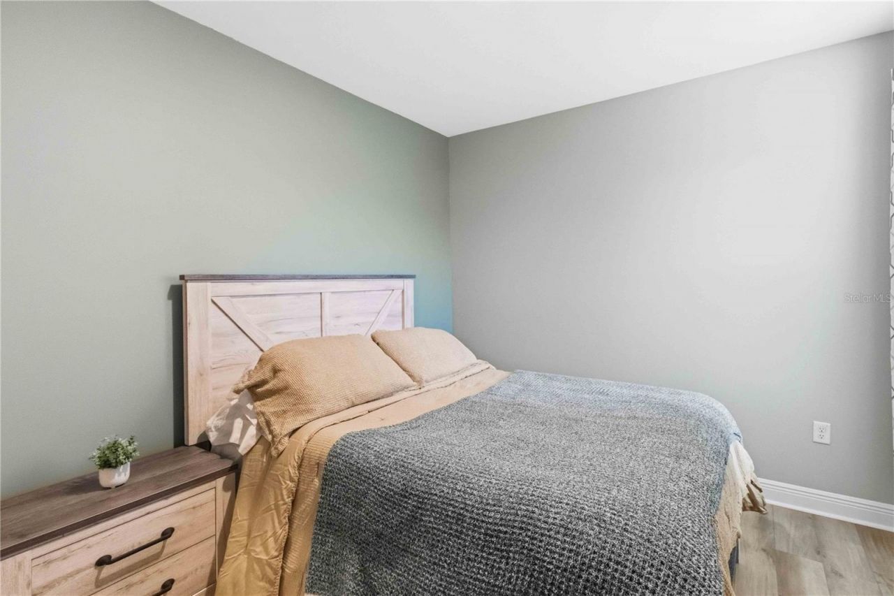 10007 Dolphin Gull Circle, Thonotosassa, FL 33592 Photo