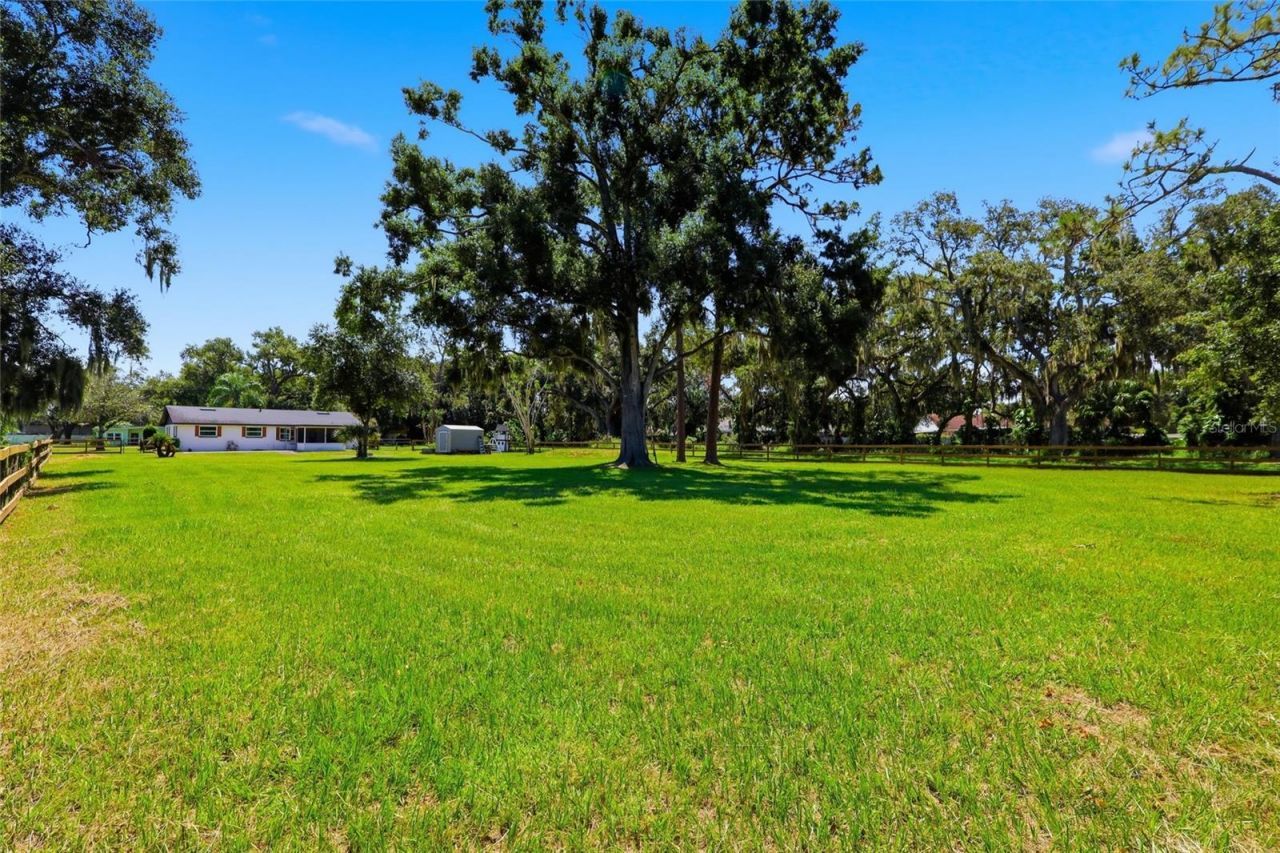 6509 Reed Drive, Riverview, FL 33578 Photo