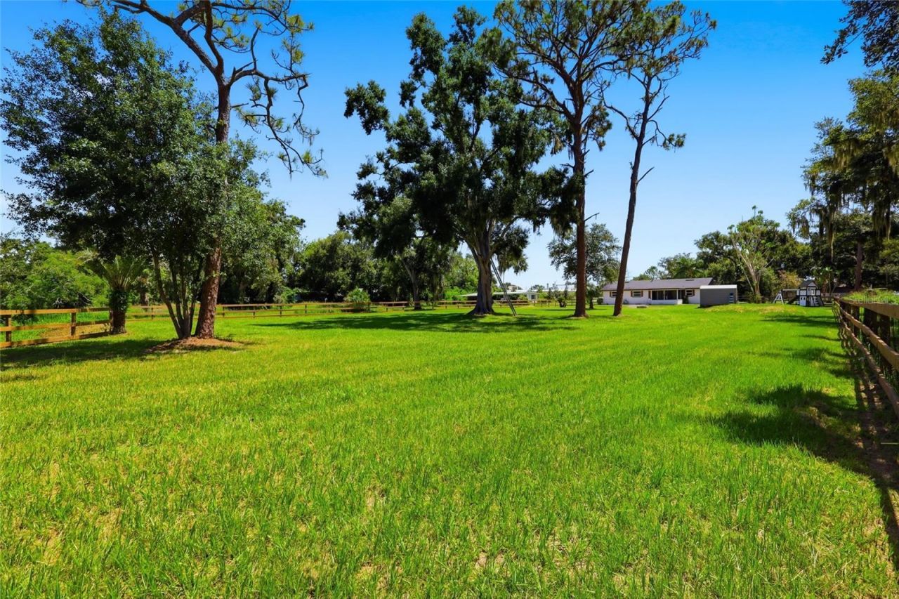 6509 Reed Drive, Riverview, FL 33578 Photo