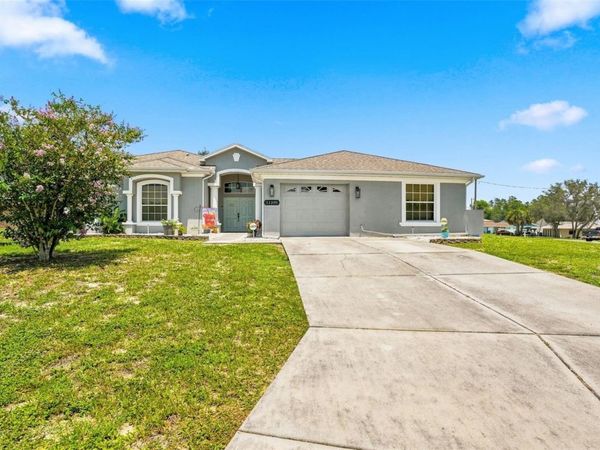 11399 REDGATE STREET, SPRING HILL, FL 34609