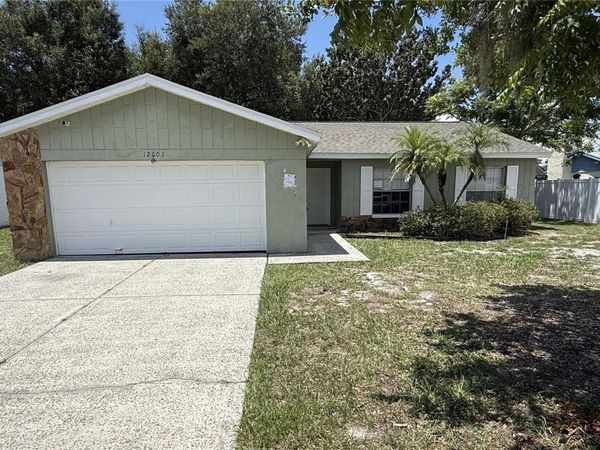 12803 SLIPPERY ELM COURT , RIVERVIEW, FL 33579