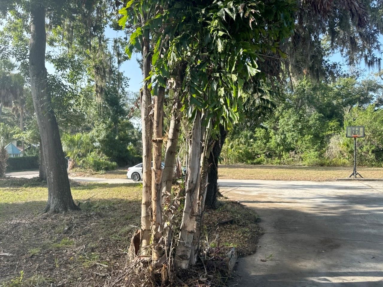9901 Davis Street , Gibsonton, FL 33534 Photo
