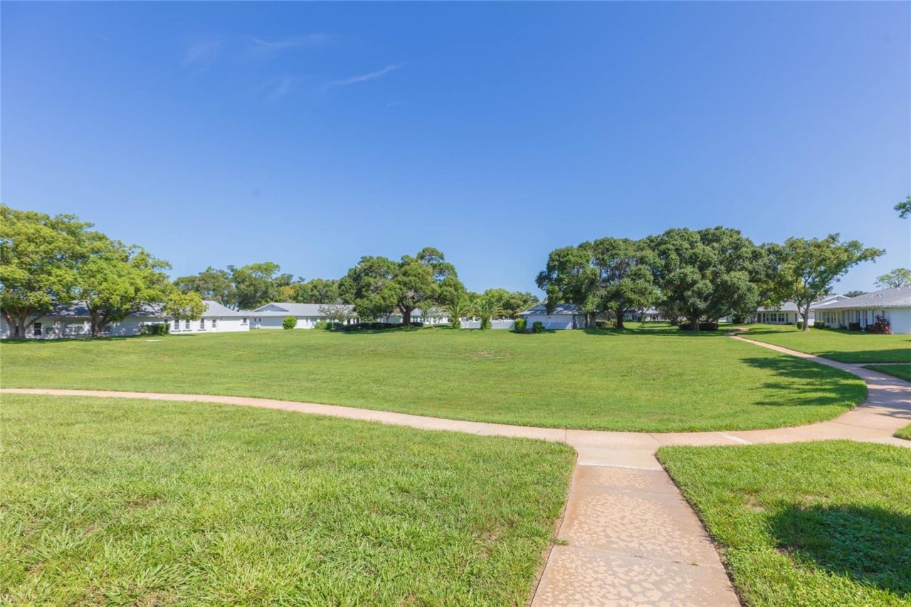 8423 Pebble Drive , Port Richey, FL 34668 Photo