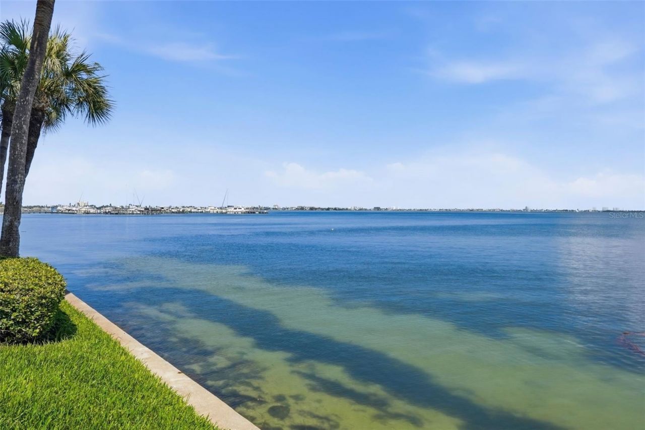 5729 Puerta Del Sol Boulevard S, Unit 186, Saint Petersburg, FL 33715 Photo