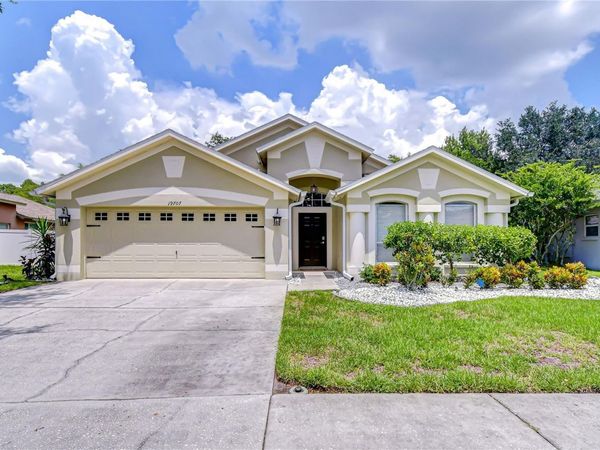 19707 ELLENDALE DRIVE , LAND O LAKES, FL 34638
