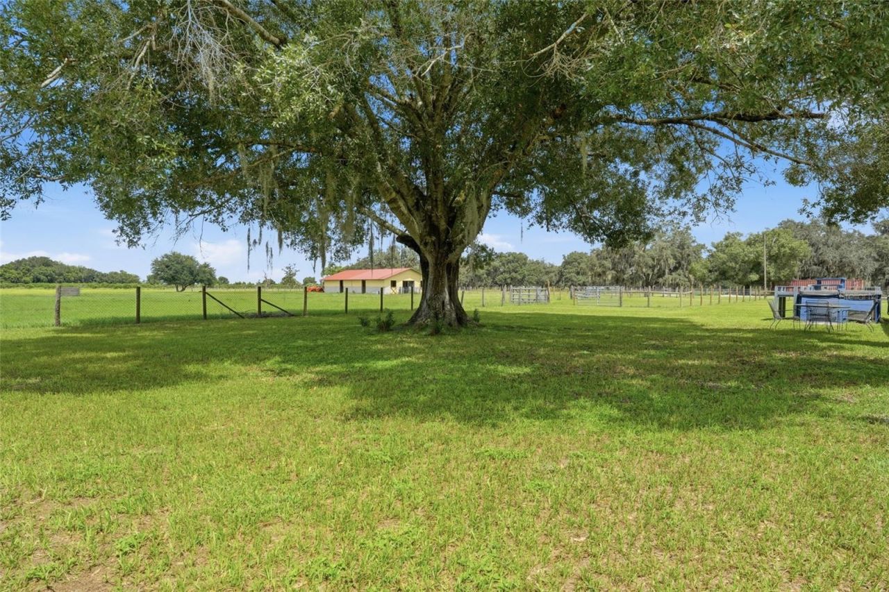 6902 Johnston Road, Zolfo Springs, FL 33890 Photo