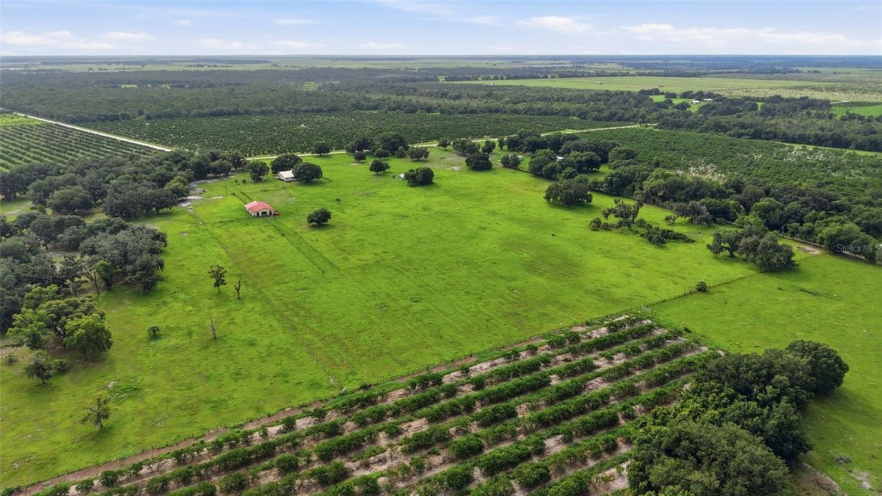 6902 Johnston Road, Zolfo Springs, FL 33890 Photo