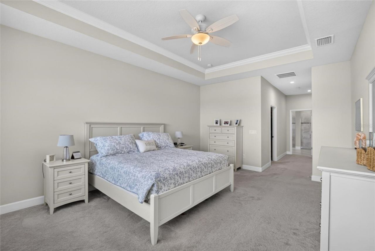 12313 Nora Grant Place, Riverview, FL 33579 Photo
