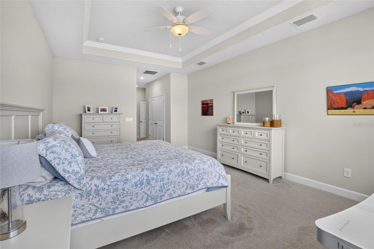 12313 Nora Grant Place, Riverview, FL 33579 Photo
