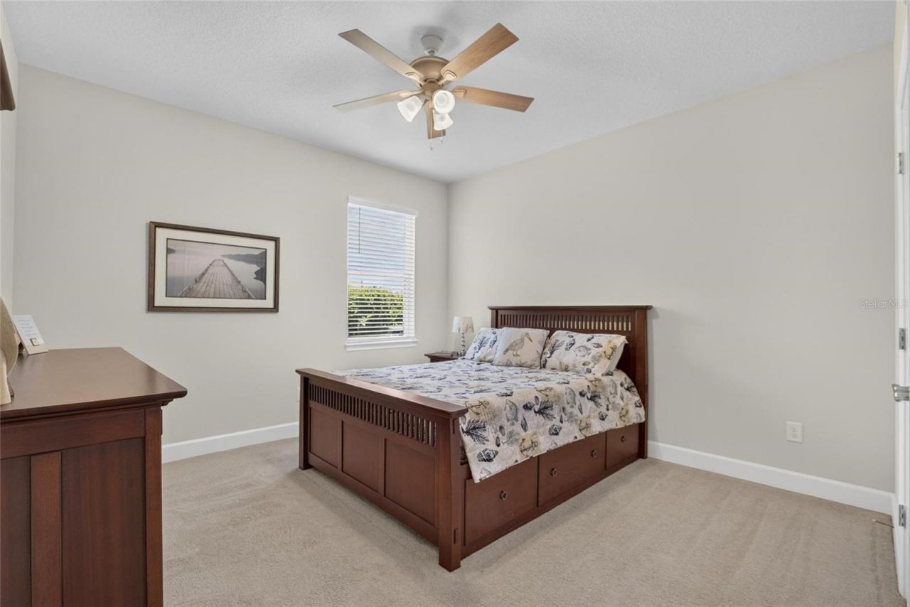 12313 Nora Grant Place, Riverview, FL 33579 Photo