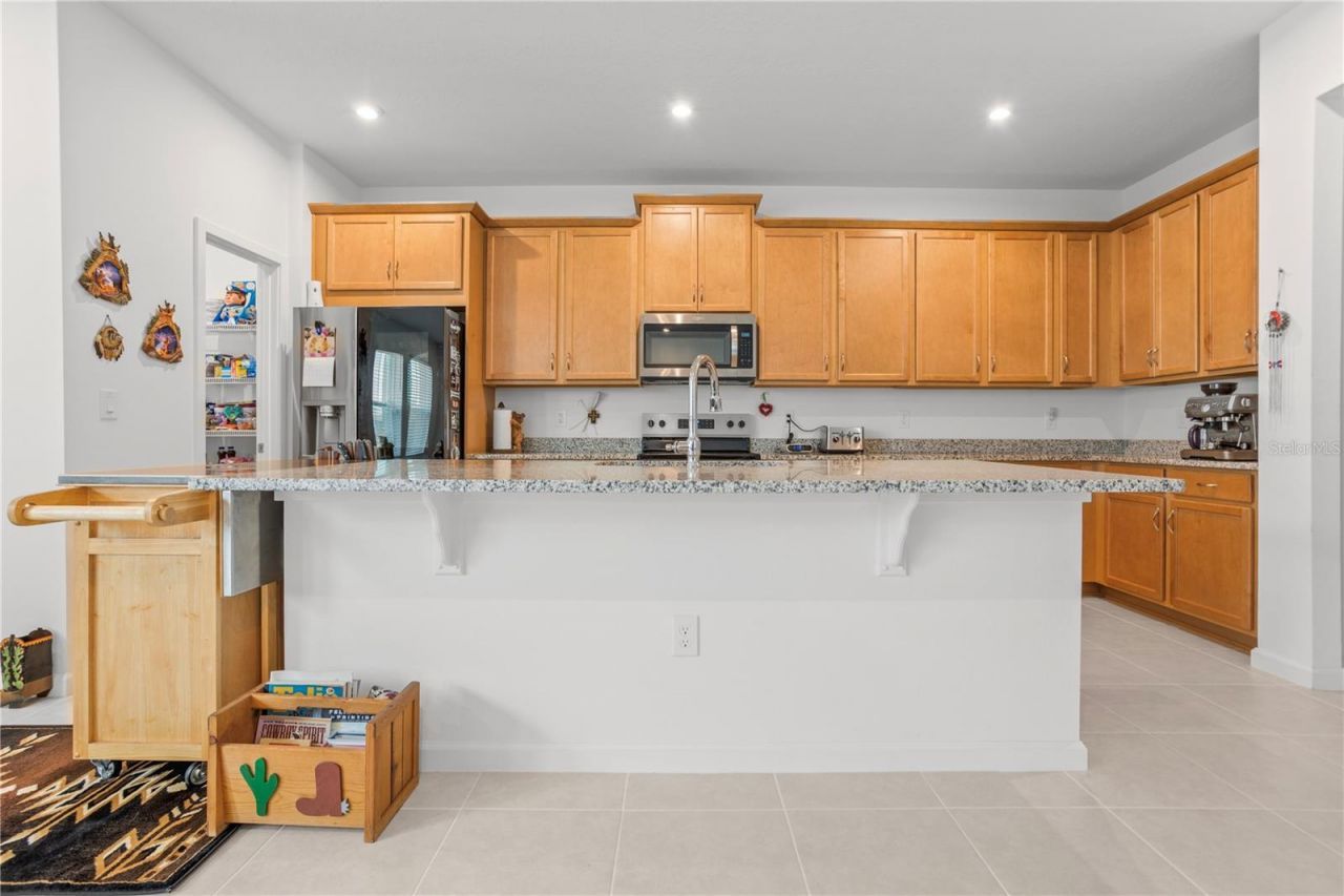 353 Free Range Drive , Groveland, FL 34736 Photo