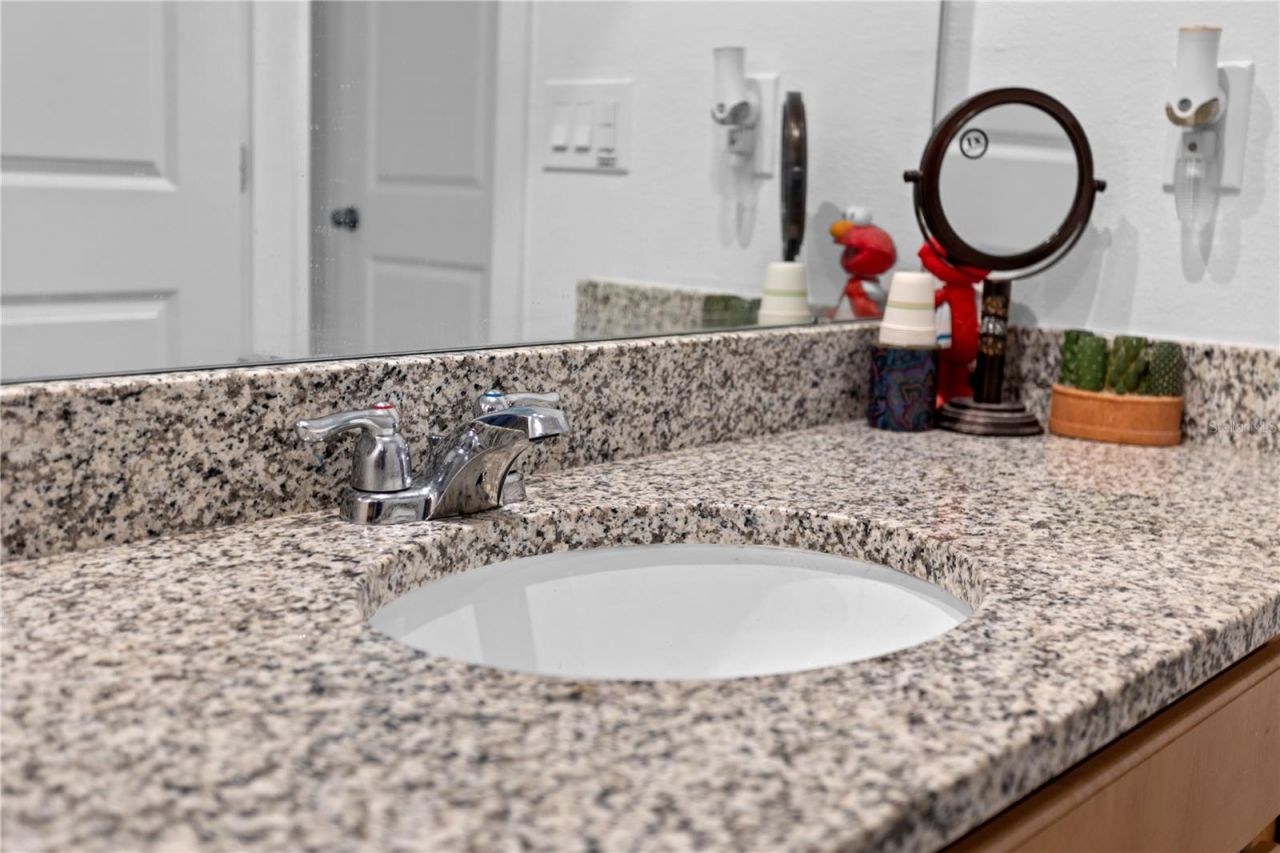 353 Free Range Drive , Groveland, FL 34736 Photo