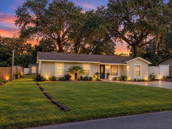 11585 SE 129TH LANE, OCKLAWAHA, FL 32179