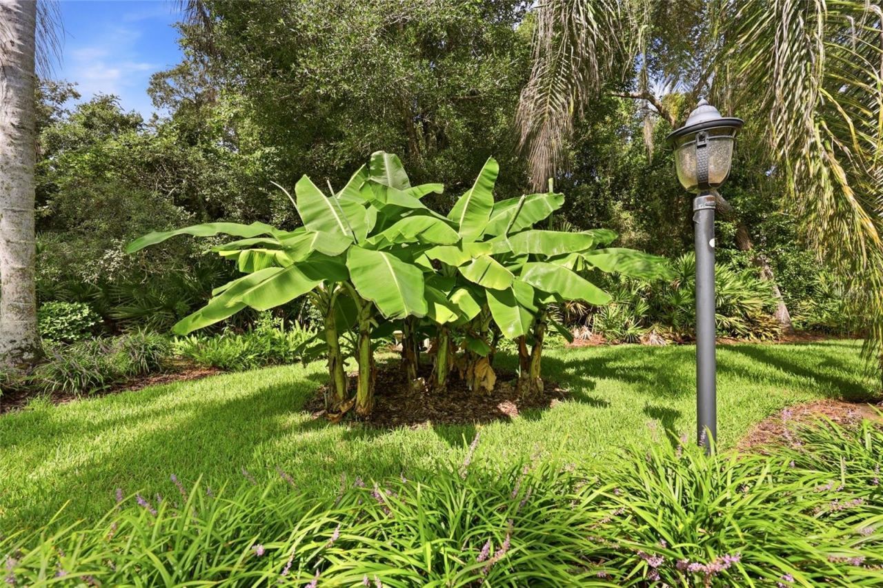 5 Roma Court, Palm Coast, FL 32137 Photo