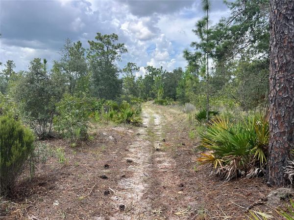 200 STREET , ARCHER, FL 32618