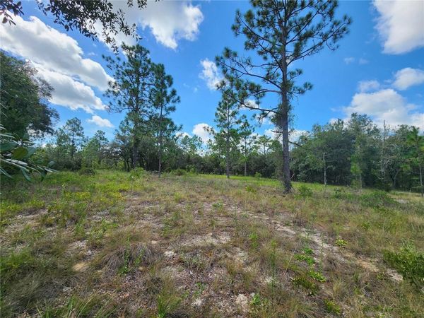 SW NECTARINE LANE , DUNNELLON, FL 34431