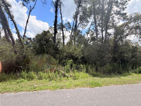 7052 OREGON CHICKADEE ROAD , WEEKI WACHEE, FL 34613