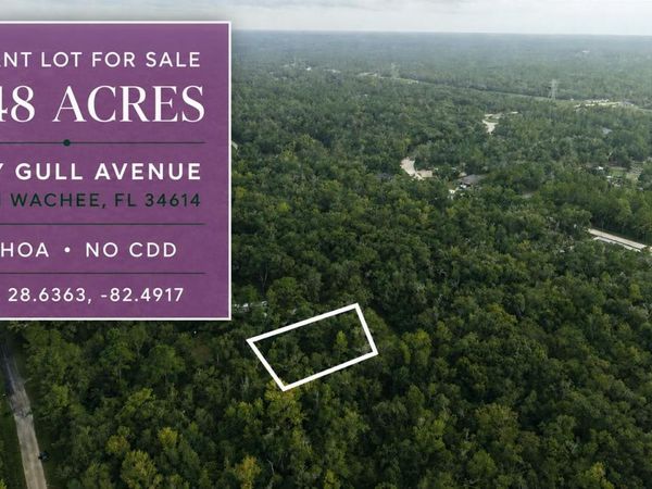 14186 ROSY GULL AVENUE , WEEKI WACHEE, FL 34614