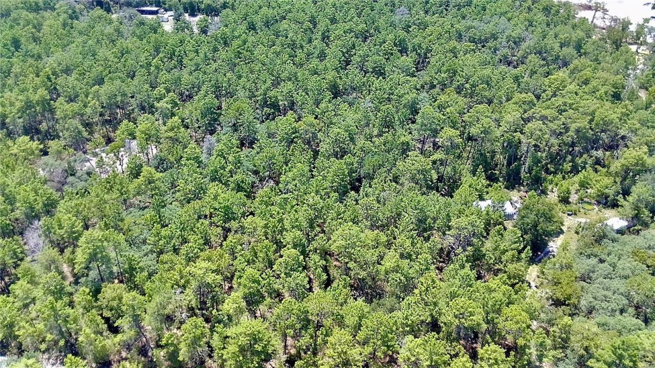 121 Pear Street, Welaka, FL 32193 Photo
