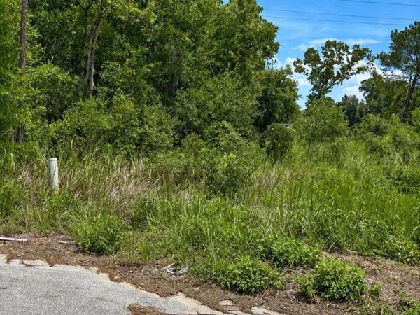 WATER TRACK LOT 08, OCALA, FL 34477