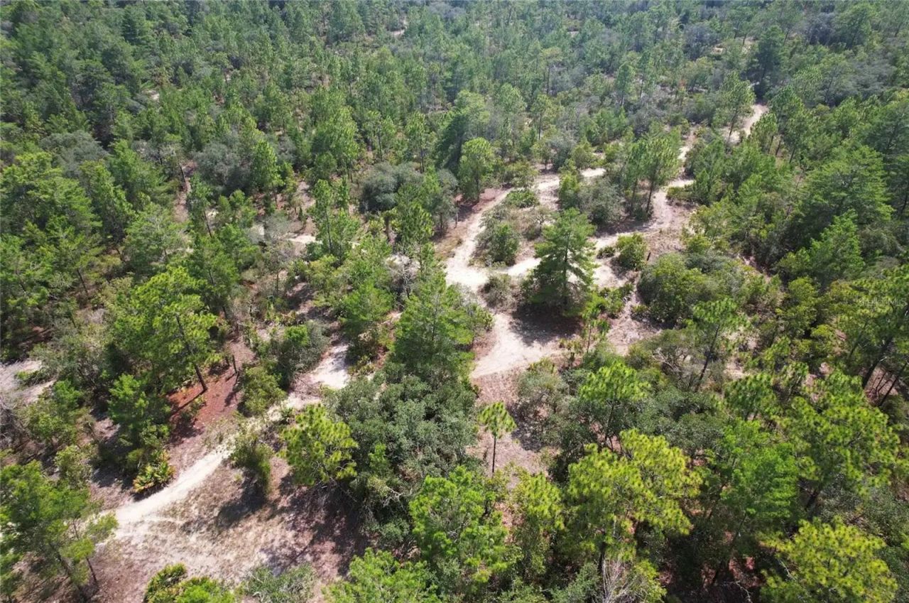 6496 N Bernzott Point , Dunnellon, FL 34433 Photo