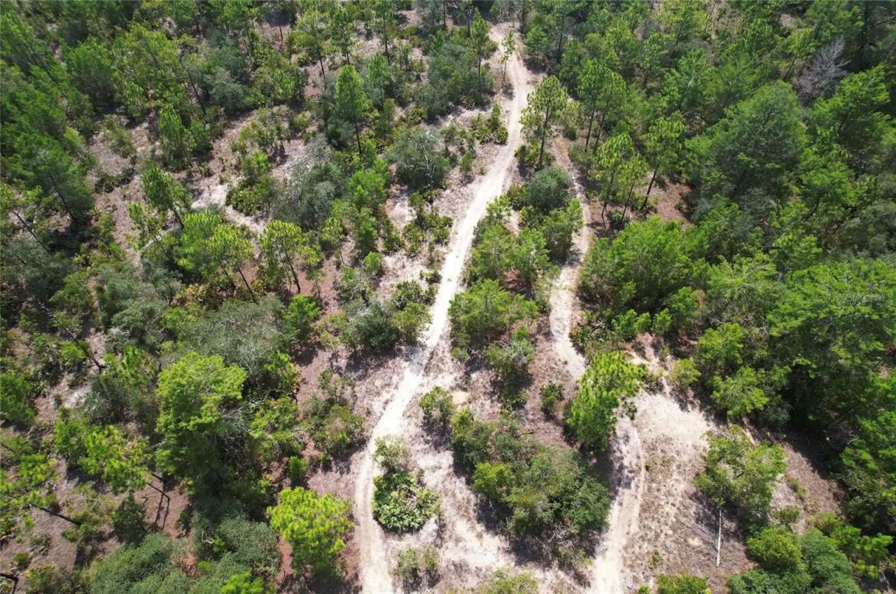 6496 N Bernzott Point , Dunnellon, FL 34433 Photo