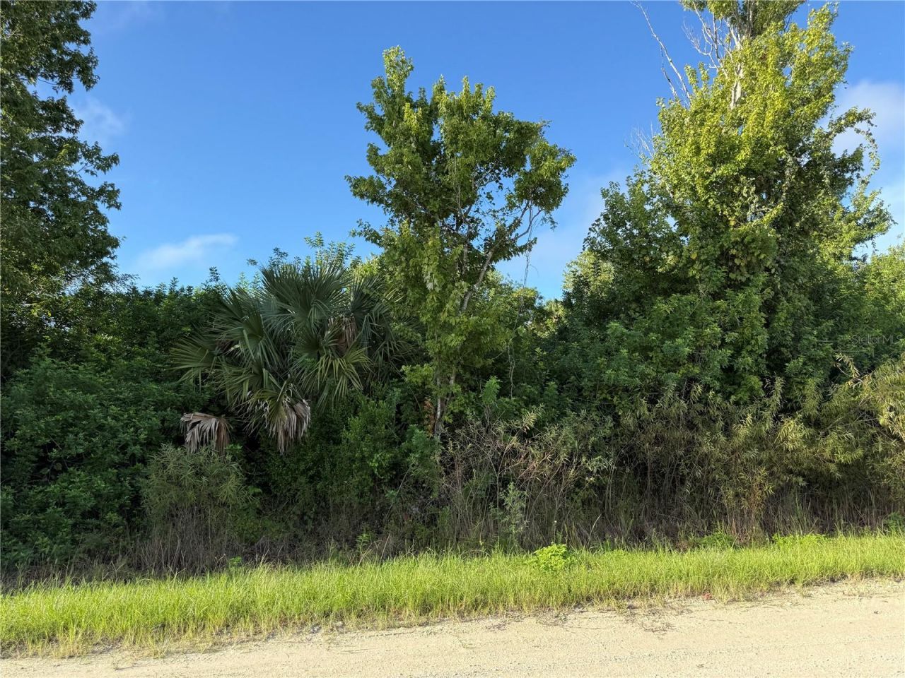 720 Shady Hallow Boulevard W, Naples, FL 34120 Photo