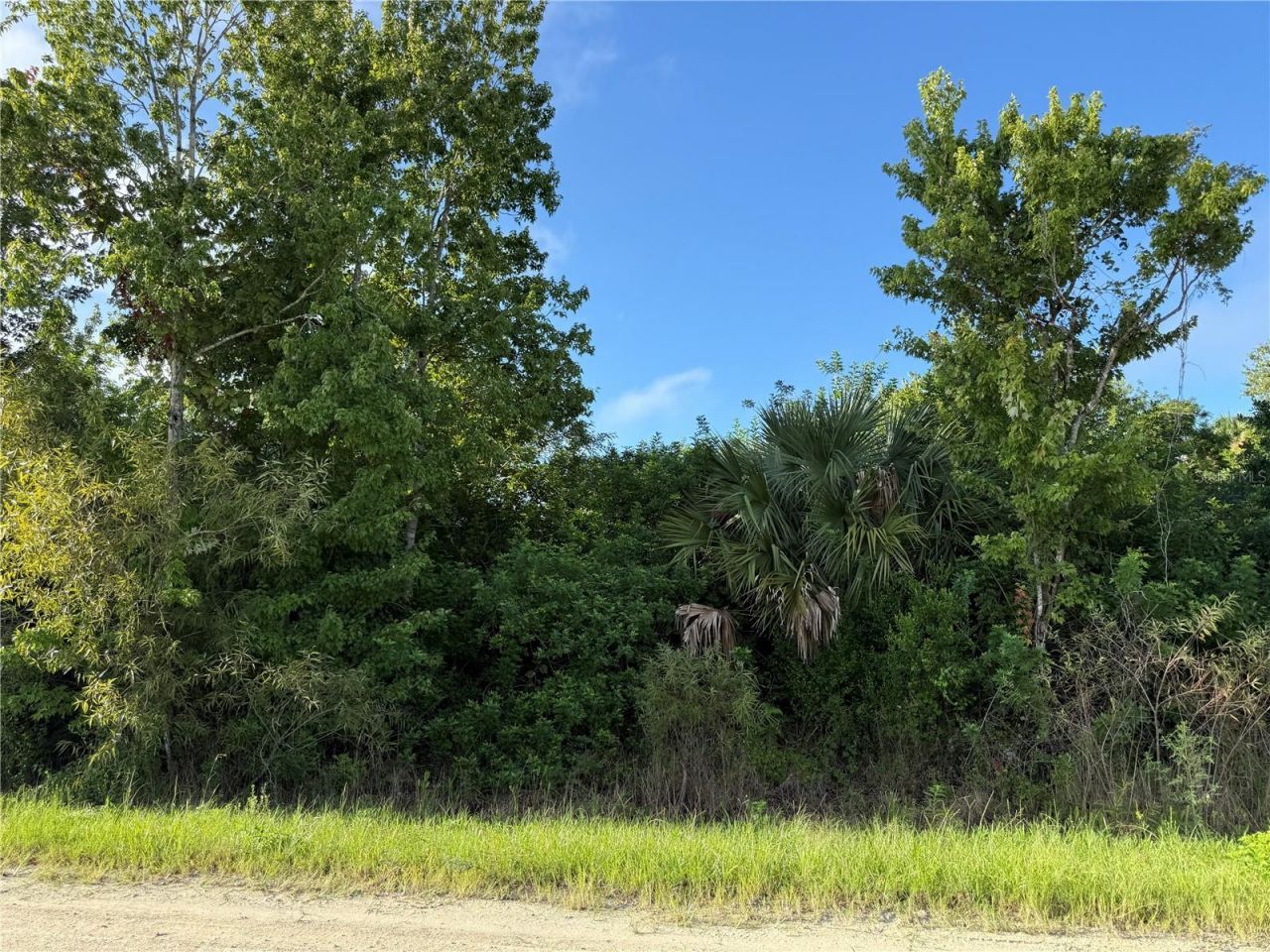 720 Shady Hallow Boulevard W, Naples, FL 34120 Photo