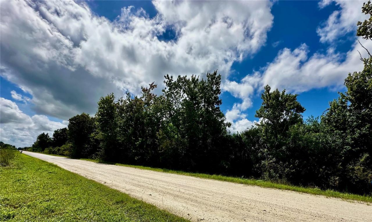 720 Shady Hallow Boulevard W, Naples, FL 34120 Photo