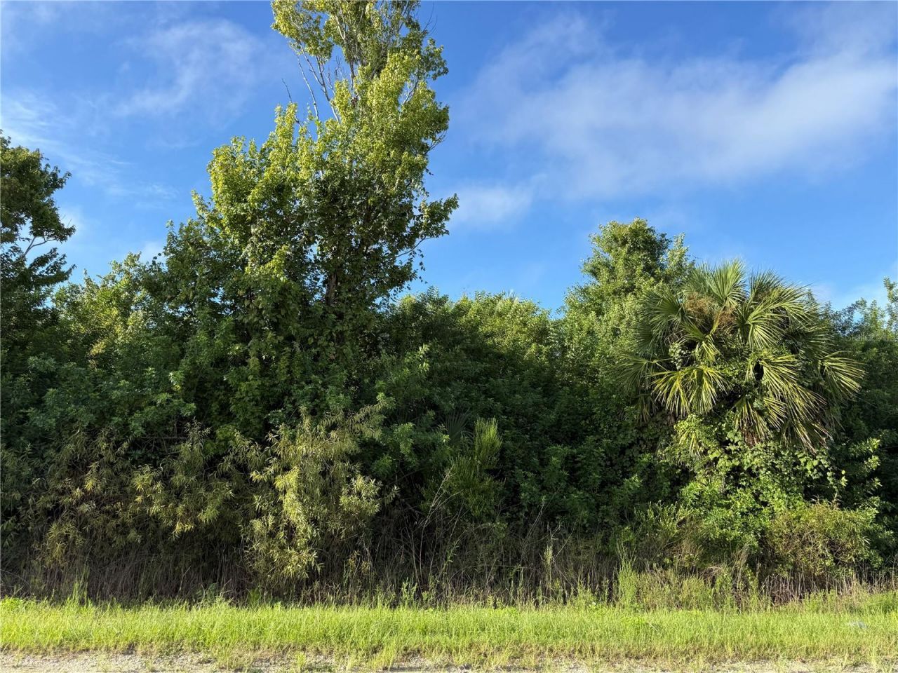 720 Shady Hallow Boulevard W, Naples, FL 34120 Photo