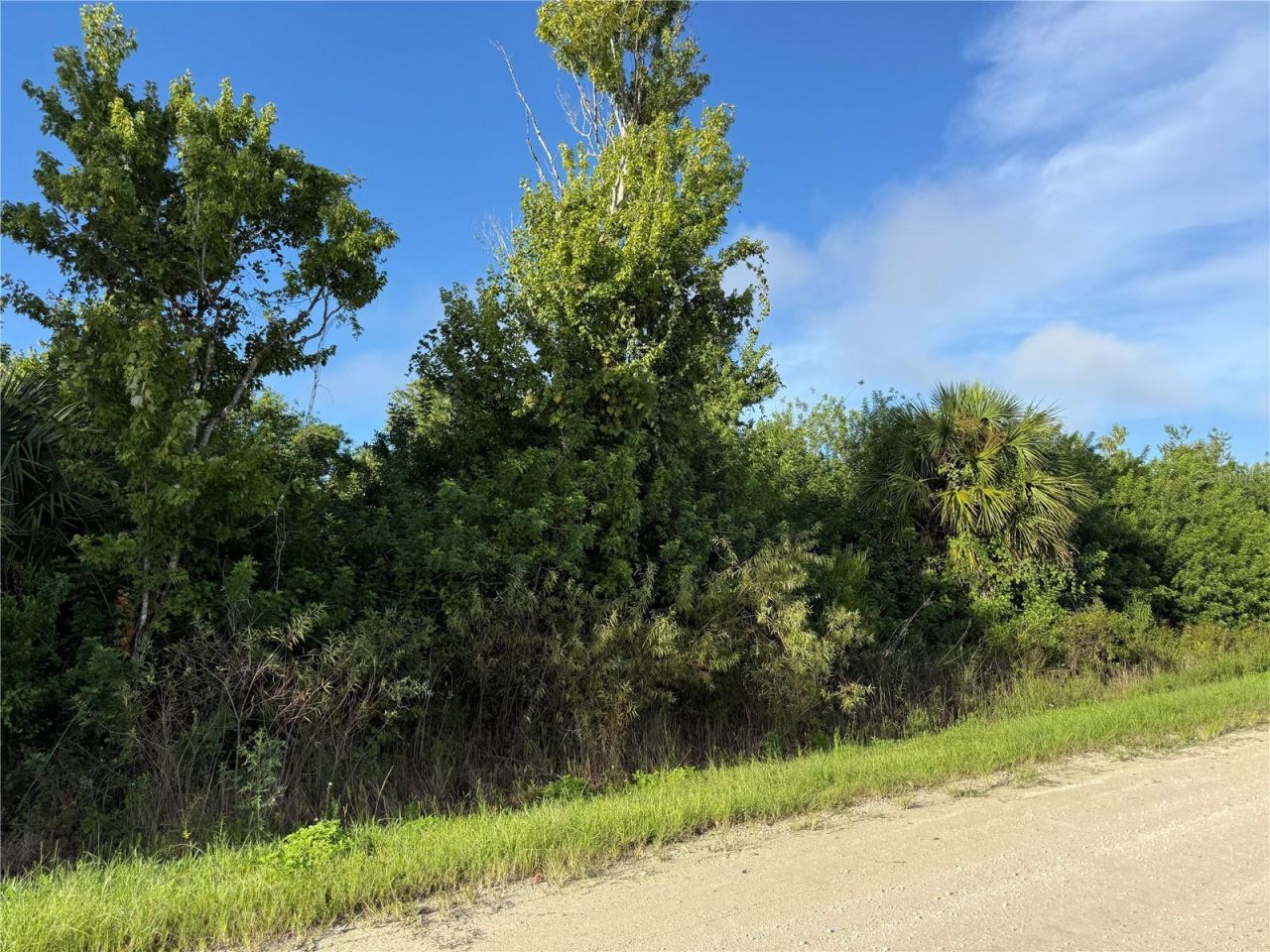720 Shady Hallow Boulevard W, Naples, FL 34120 Photo