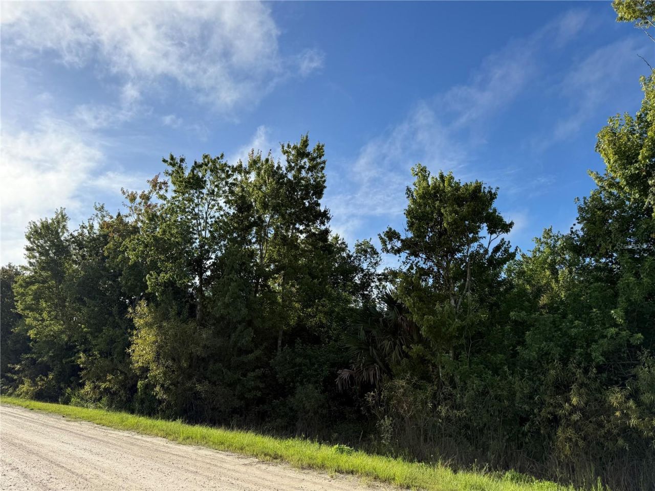 720 Shady Hallow Boulevard W, Naples, FL 34120 Photo