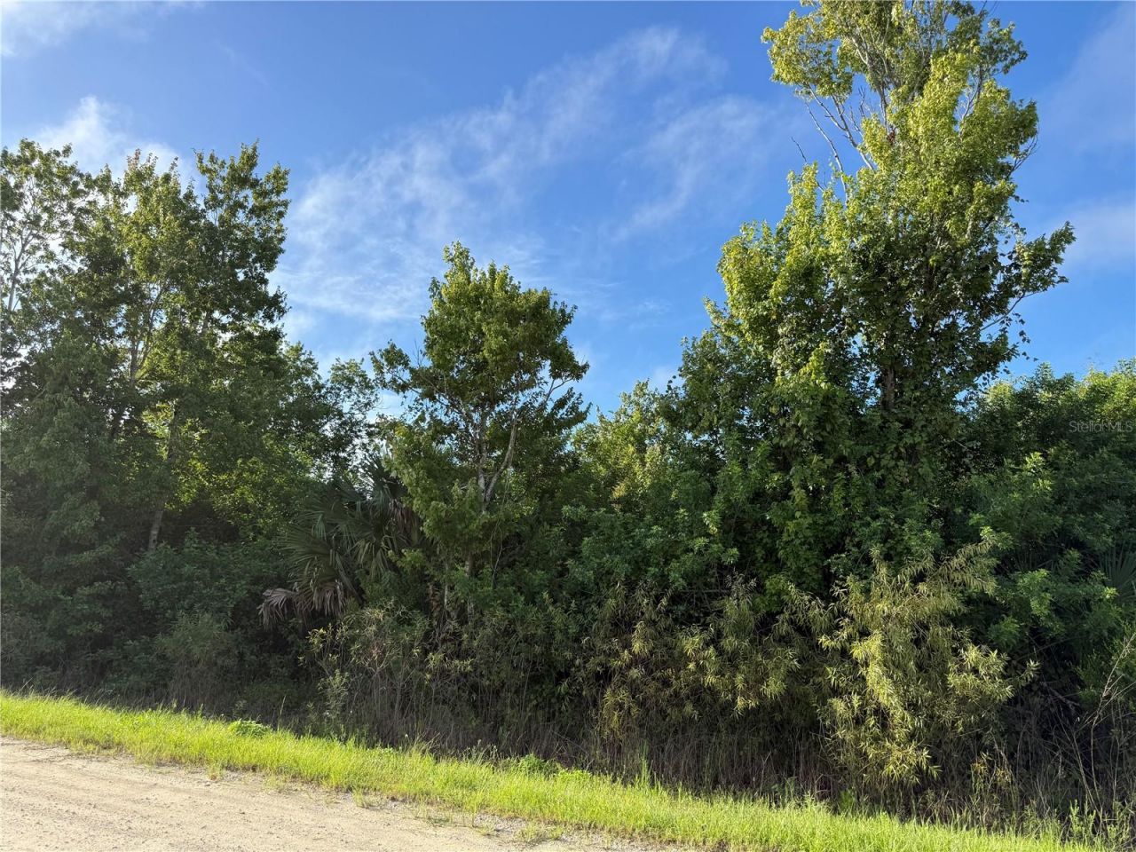 720 Shady Hallow Boulevard W, Naples, FL 34120 Photo