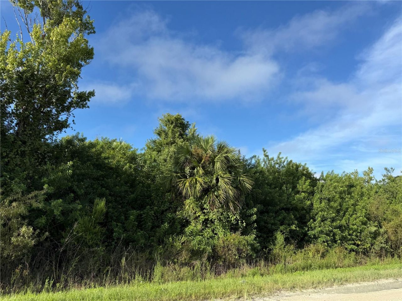 720 Shady Hallow Boulevard W, Naples, FL 34120 Photo
