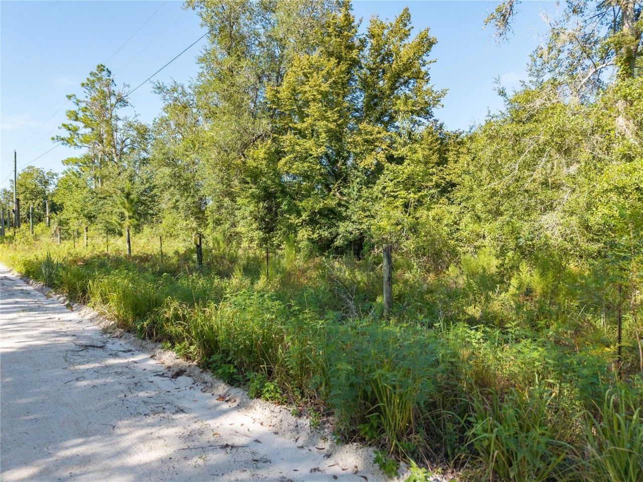 3901 181st Road, Live Oak, FL 32060 Photo