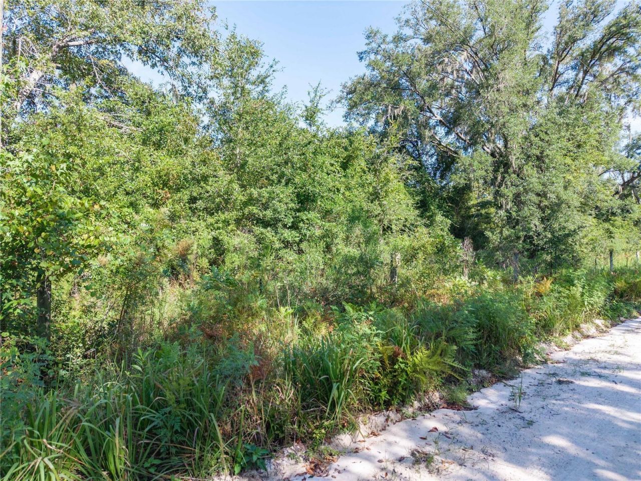 3901 181st Road, Live Oak, FL 32060 Photo