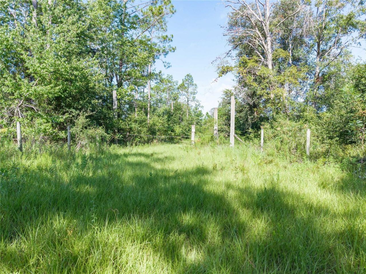3901 181st Road, Live Oak, FL 32060 Photo