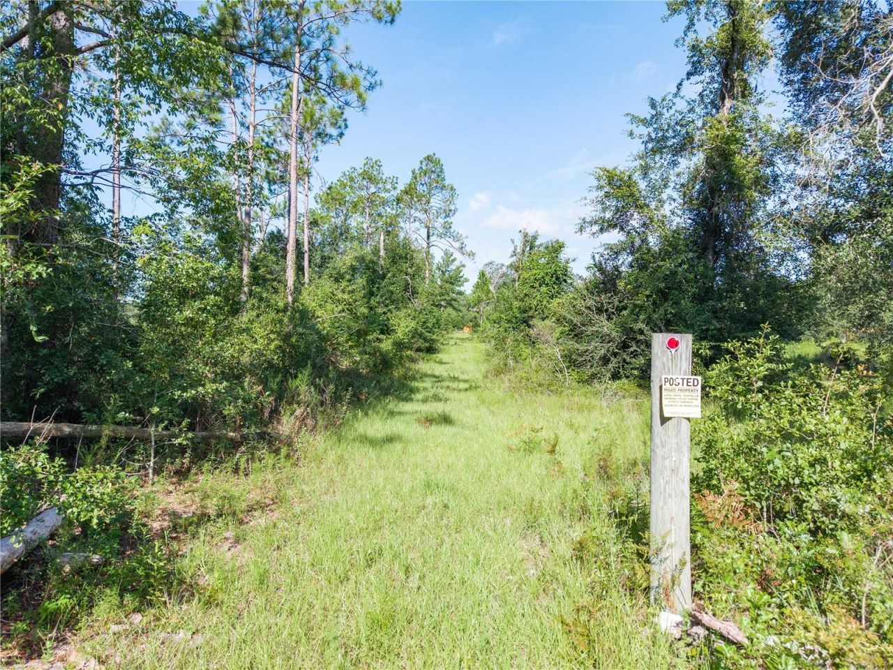 3901 181st Road, Live Oak, FL 32060 Photo
