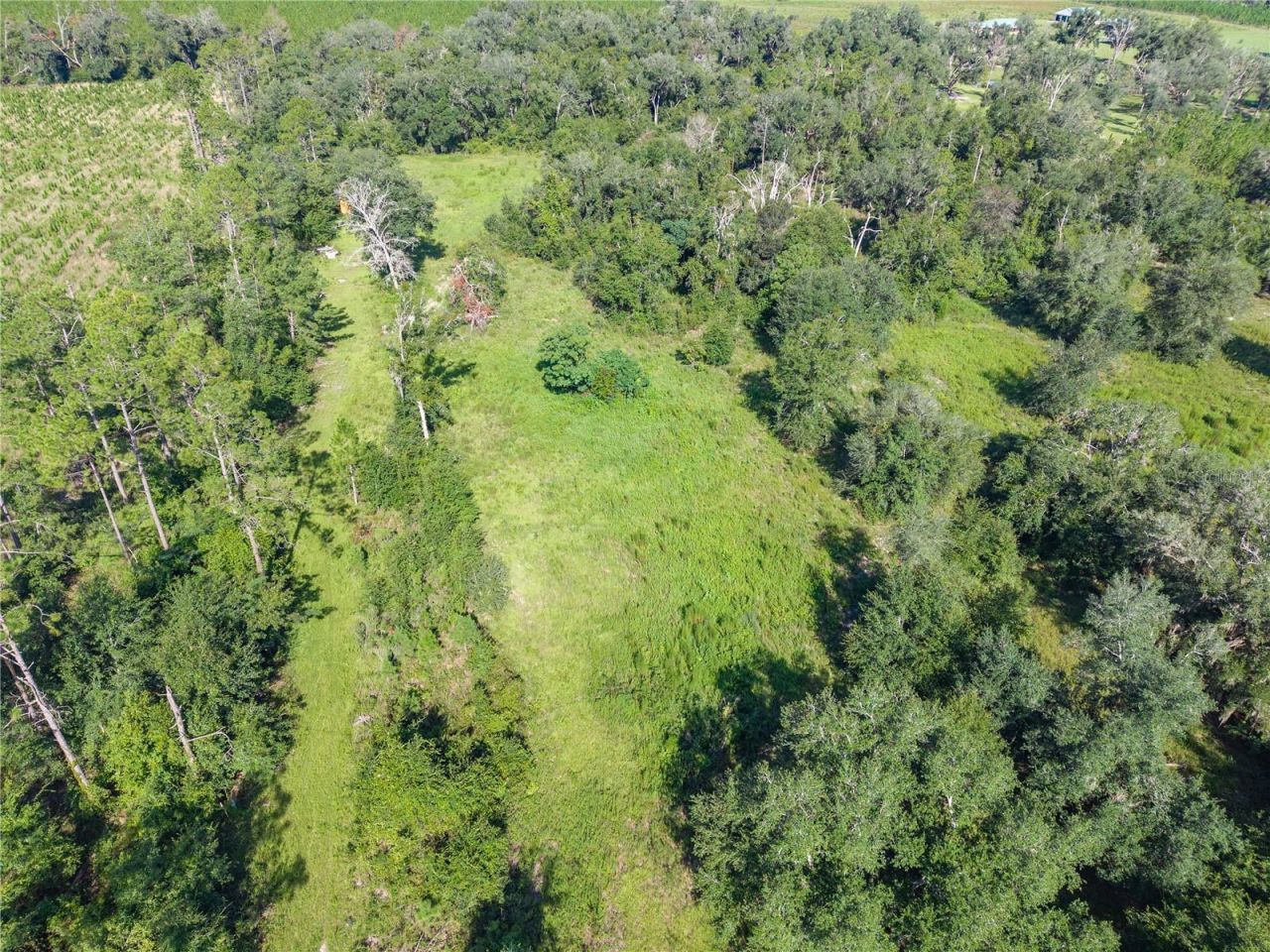 3901 181st Road, Live Oak, FL 32060 Photo