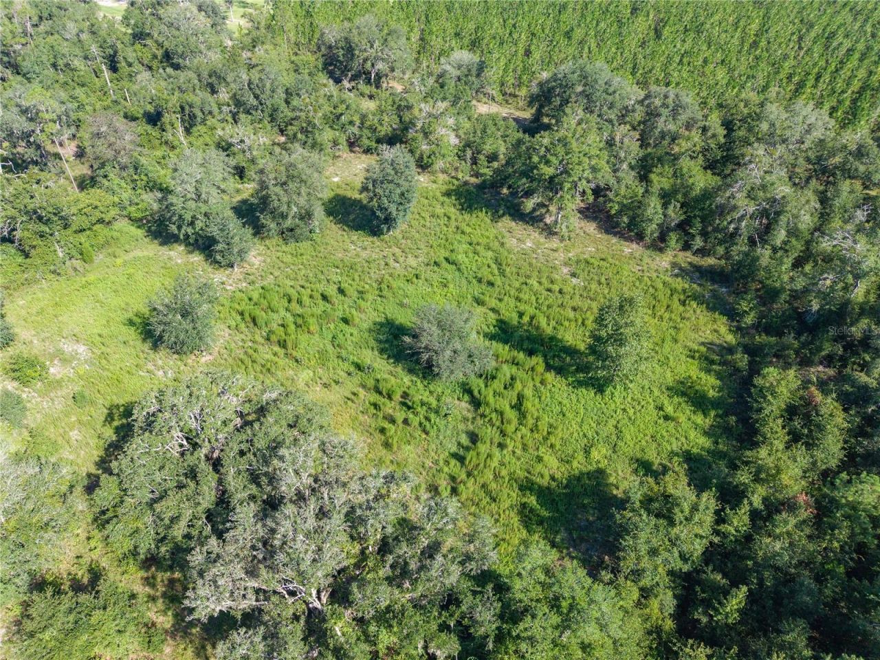 3901 181st Road, Live Oak, FL 32060 Photo