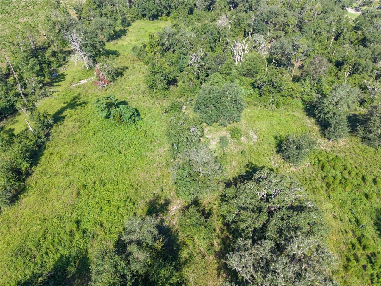 3901 181st Road, Live Oak, FL 32060 Photo