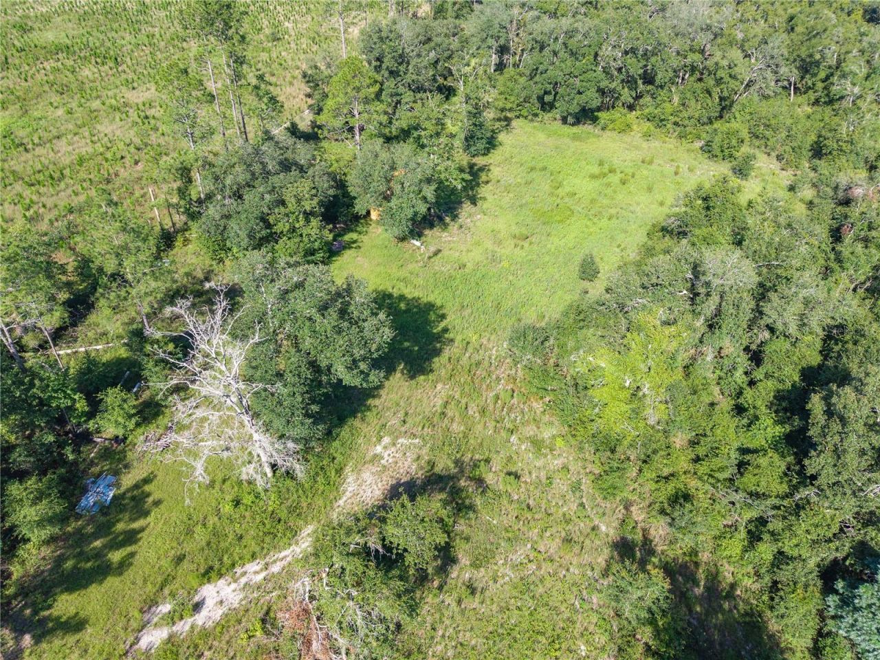 3901 181st Road, Live Oak, FL 32060 Photo