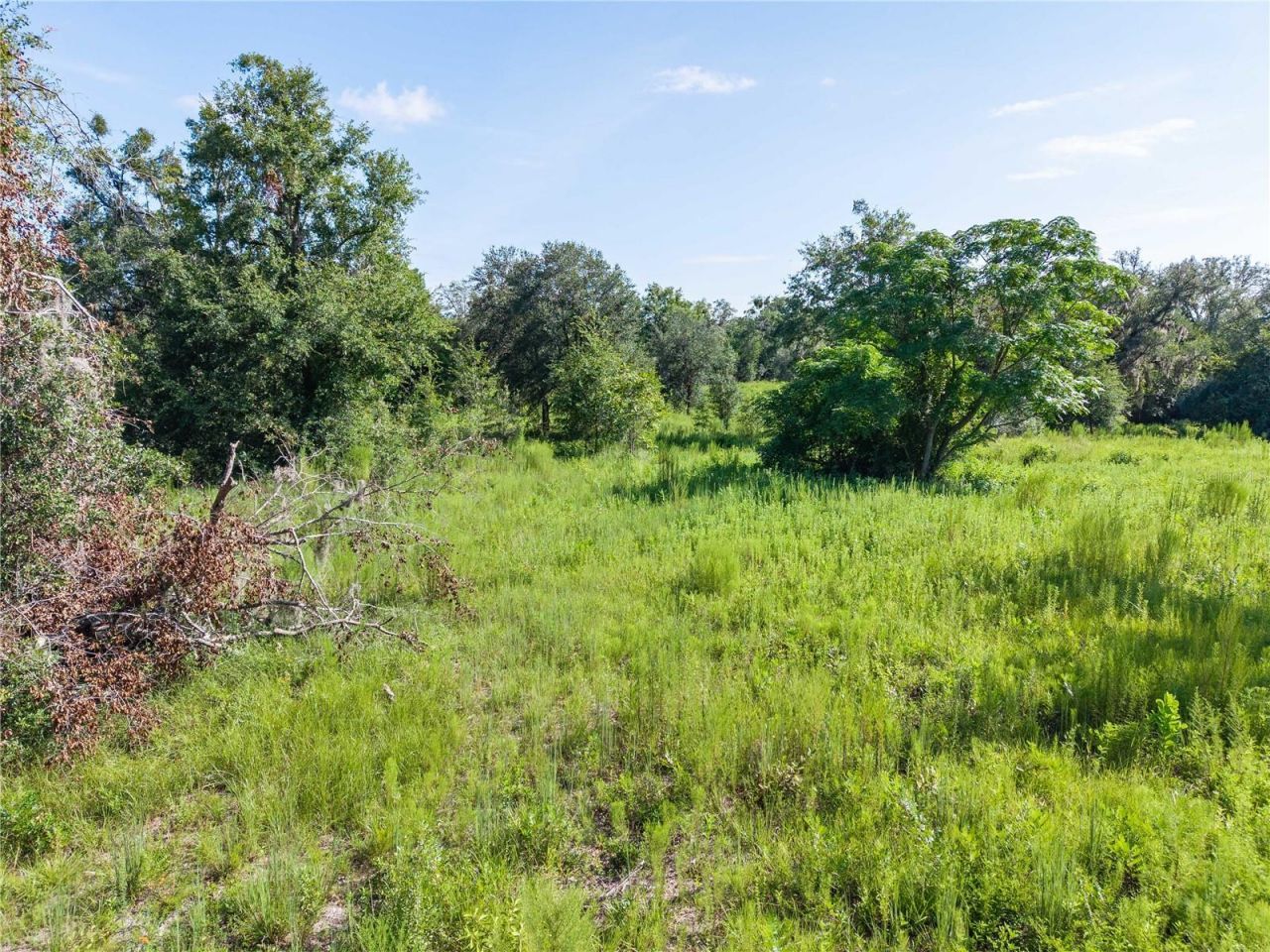 3901 181st Road, Live Oak, FL 32060 Photo