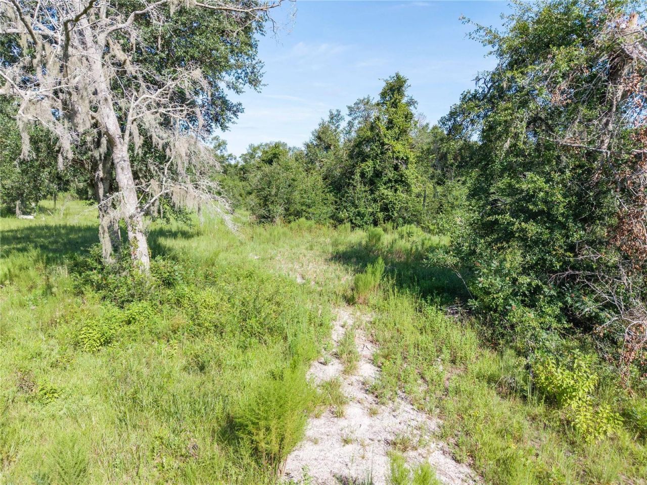 3901 181st Road, Live Oak, FL 32060 Photo