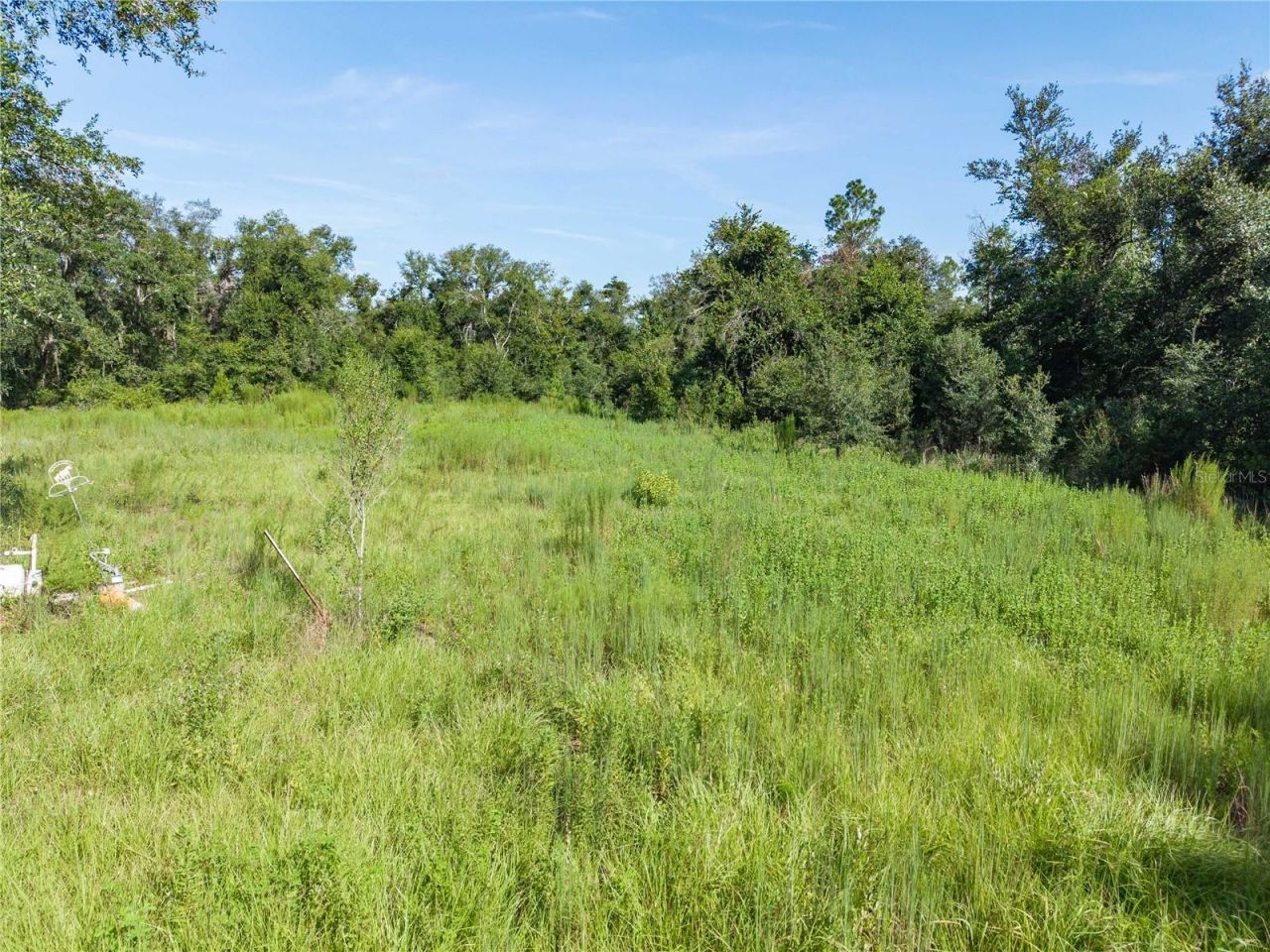3901 181st Road, Live Oak, FL 32060 Photo
