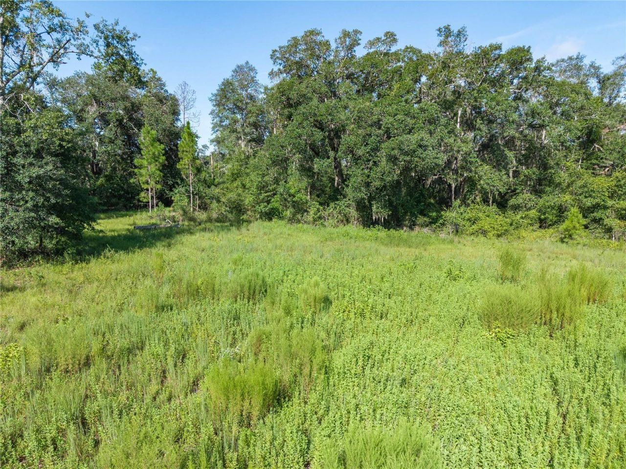 3901 181st Road, Live Oak, FL 32060 Photo