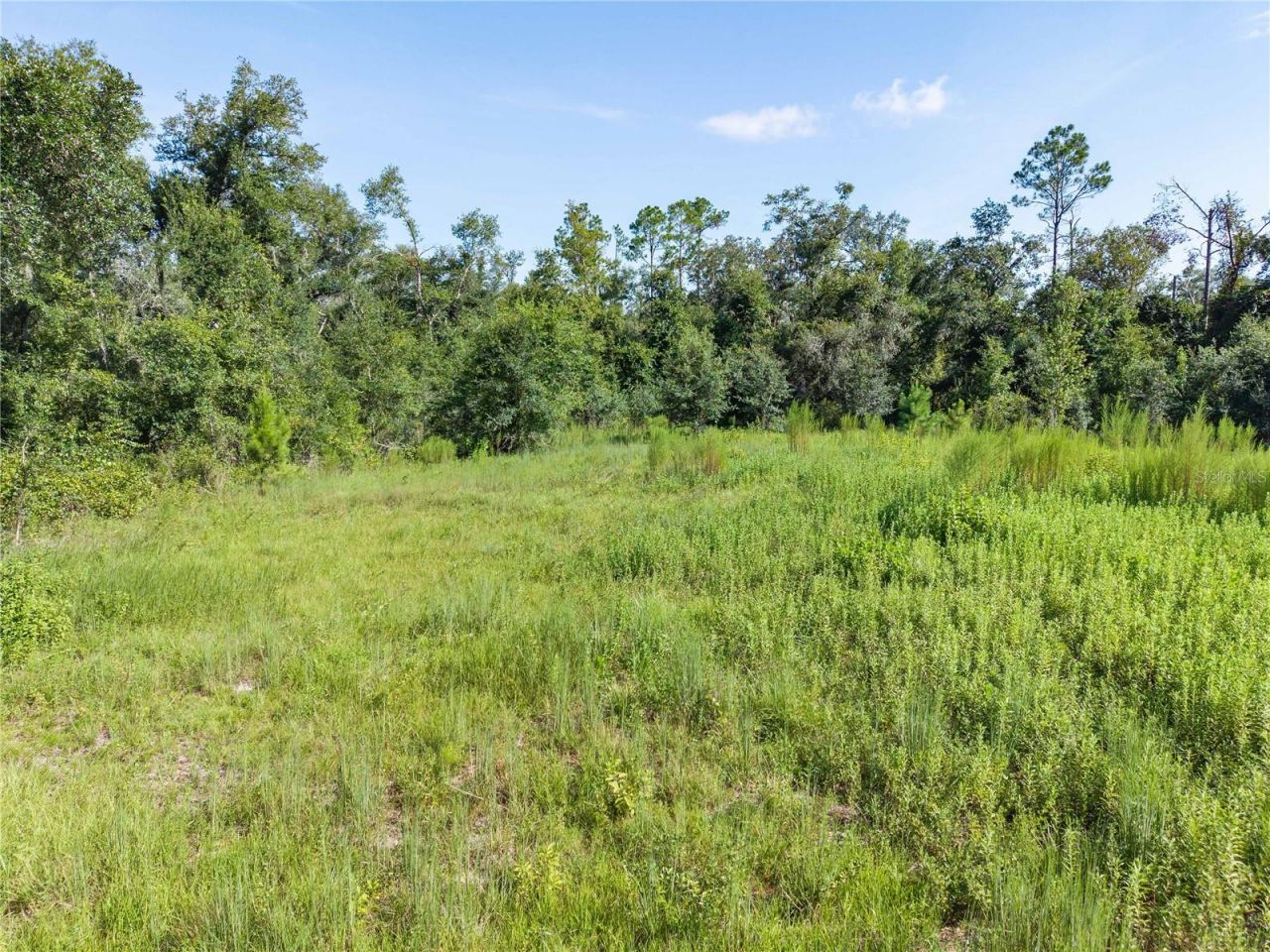 3901 181st Road, Live Oak, FL 32060 Photo
