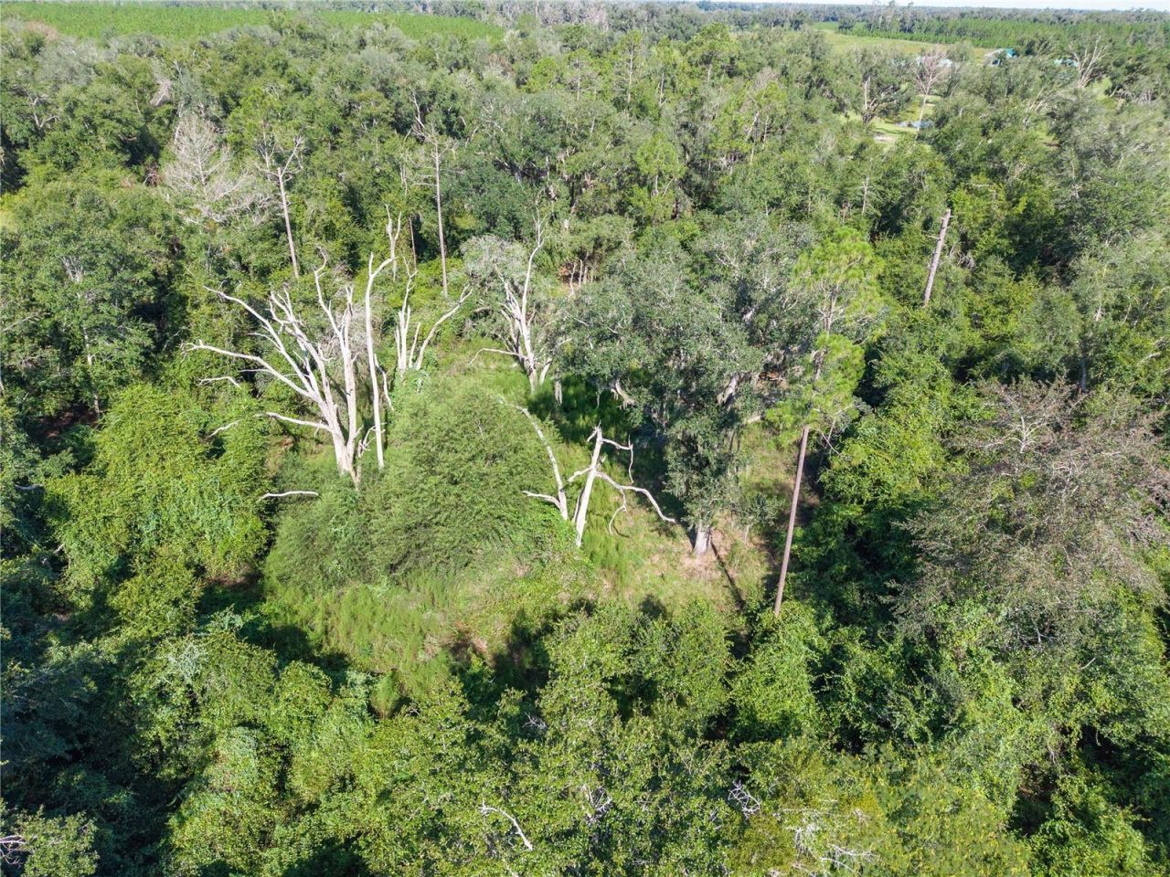 3901 181st Road, Live Oak, FL 32060 Photo